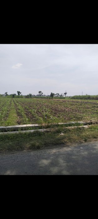 Dijual tanah strategis kota kediri