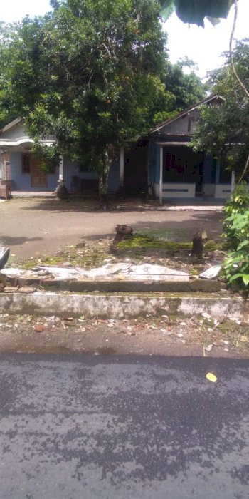 Jual  Pekarangan SHM. 1.250jt/mt.LD30.LT1199.Jln Aspal.Bakulan Btl DIY