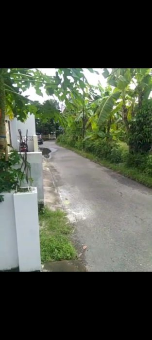 Jual Tanah SHM 1.7 jt/mt. LD 45. LT 2669. Jln Aspal.Bakulan Bantul DIY