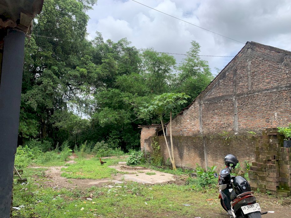 Di jual segera!!!! Tanah pekarangan daerah Piyungan, Jogja SHM
