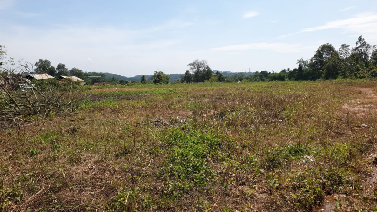 Lahan strategis dan Murah diparung panjang