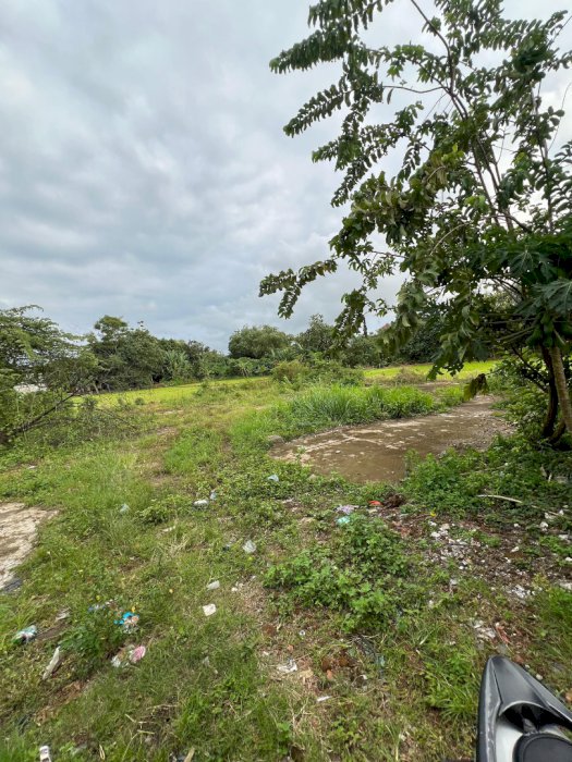 DIJUAL TANAH LUAS STRATEGIS – Jepara