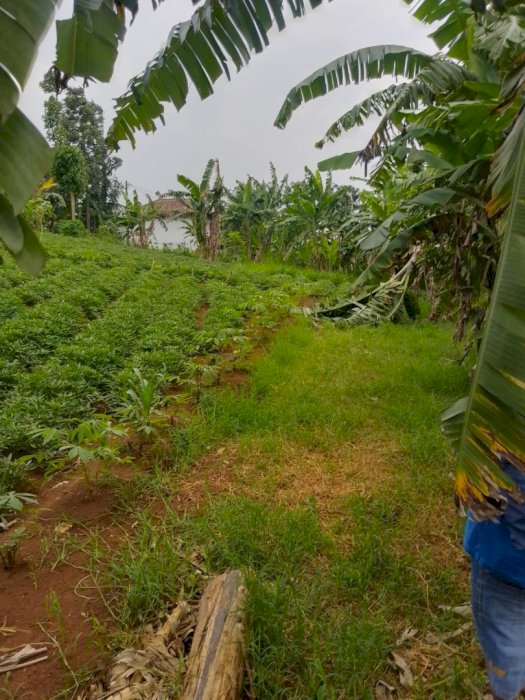 tanah murah 81 tumbak Jatinangor narongtong dekat kampus UNPAD ITB
