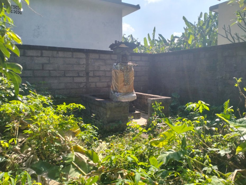 Disewakan lahan cocok untuk investasi jangka panjang di Tabanan Bali