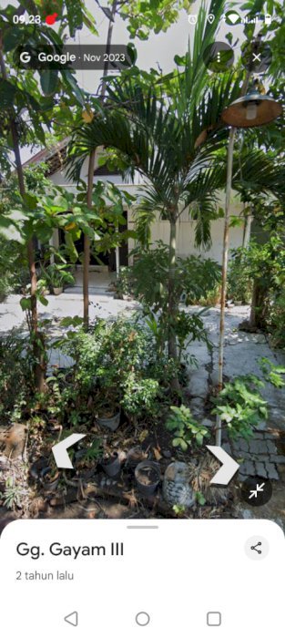 Jual rumah dan pekarangan