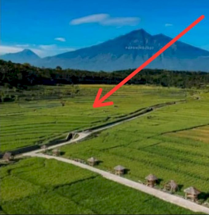 Dijual Sawah dekat dengan pintu tol Salatiga
