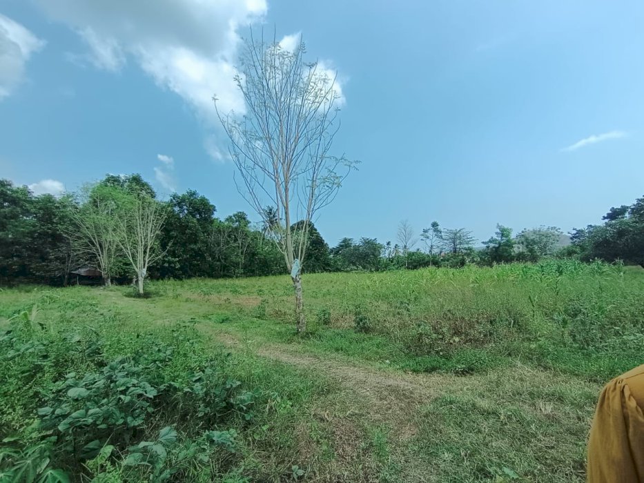 Di jual tanah murah lokasi strategis di Telaga Bertong Sumbawa Barat