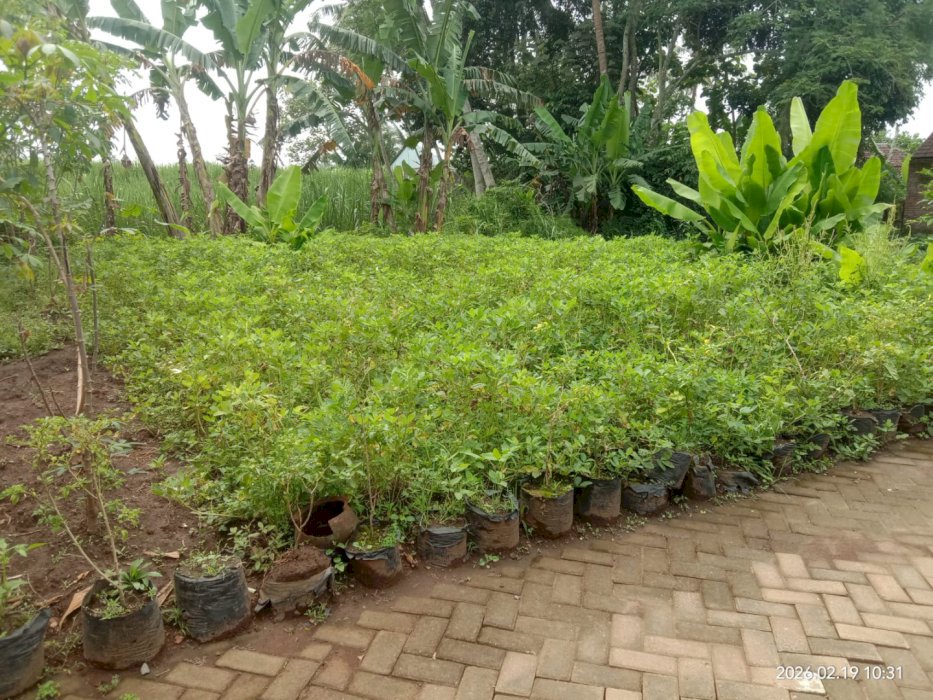 Di jual cepat tanah kavling murah di Sukosari Gondang Legi Malang