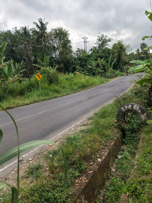 Jual kebun kopi bersertifikat