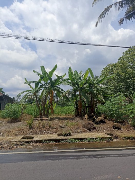 DIJUAL TANAH STRATEGIS VIEW MERAPI – PAKEM SLEMAN