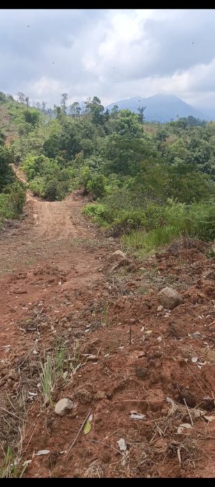 Di jual tanah kosong luas 16 hektar