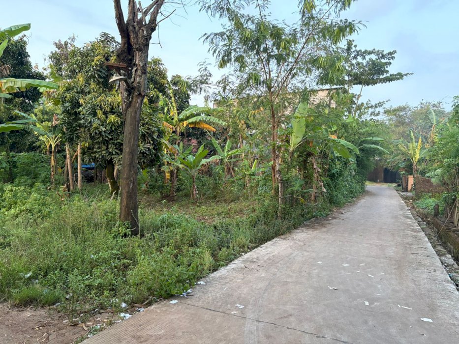 Dijual Cepat Tanah Karangbener Bae Kudus