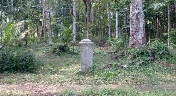 gallery cover