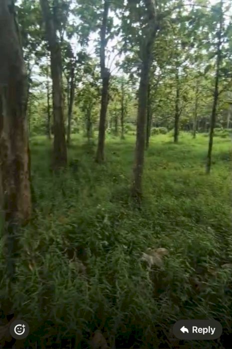 JUAL TANAH HEKTARAN JAMBE TANGERANG 6,1 HA TANAH  DATAR