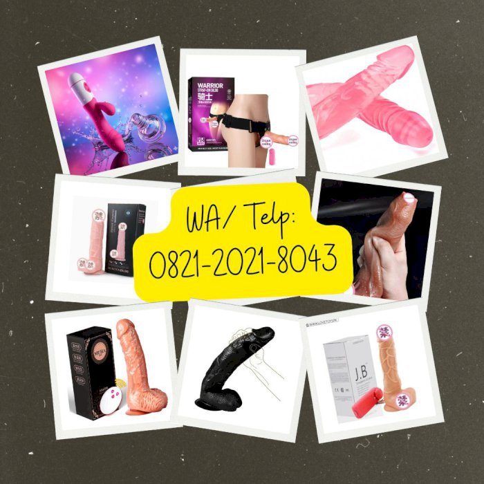gallery cover