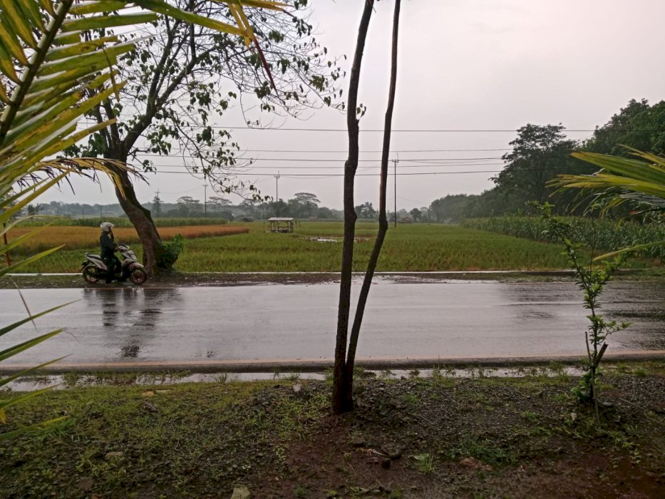 TANAH PREMIUM DI SUBANG – LOKASI EMAS
