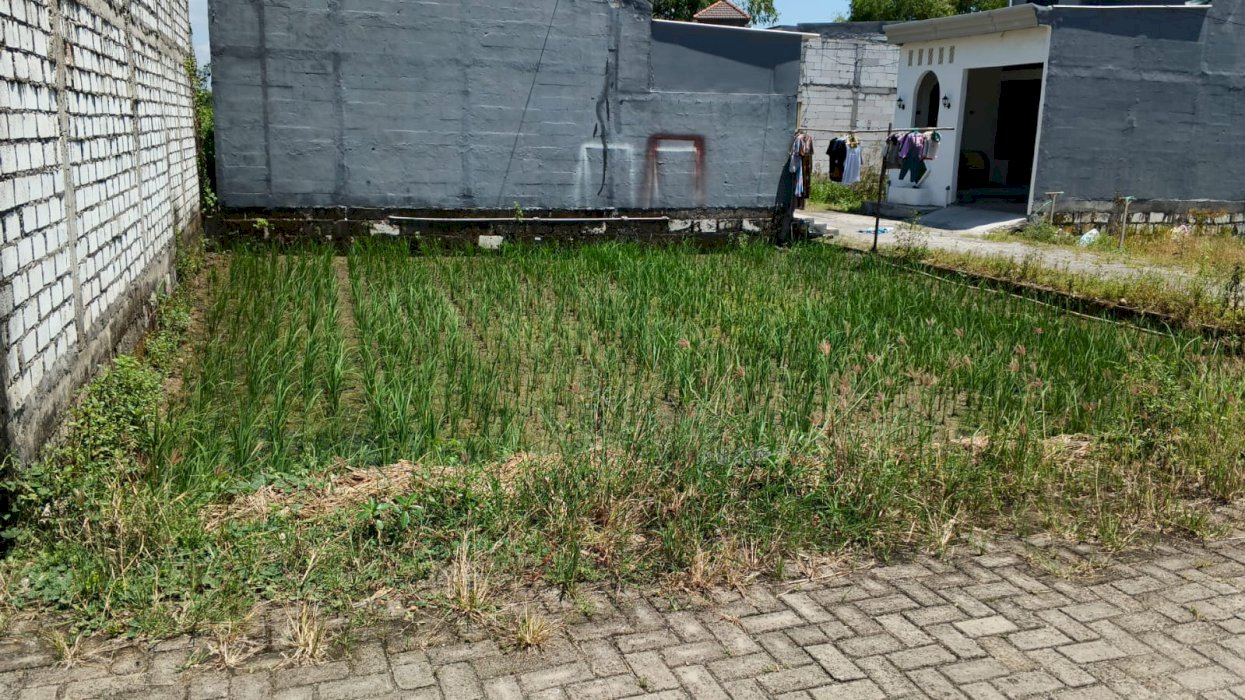 DIJUAL TANAH KAVLING SIAP BANGUN DENGAN LINGKUNGAN BERKEMBANG!