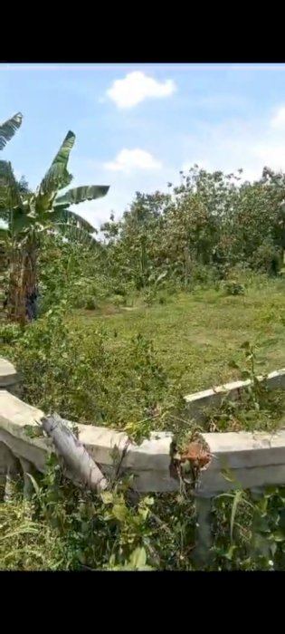 DIJUAL TANAH PEKARANGAN MURAH DI KERJO, KARANGANYAR-LANGSUNG PEMILIK