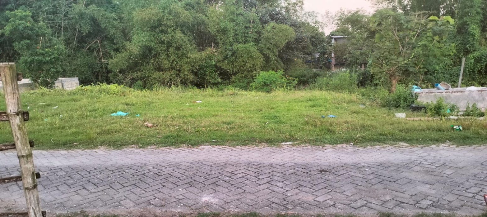 TANAH PEKARANGAN STRATEGIS DI SUMBERTLASEH-DANDER, BOJONEGORO!