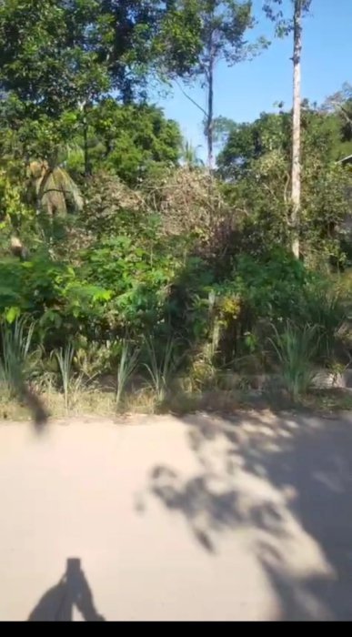 JUAL CEPAT! TANAH LUAS DI BAYUR – JLN. KEDONDONG