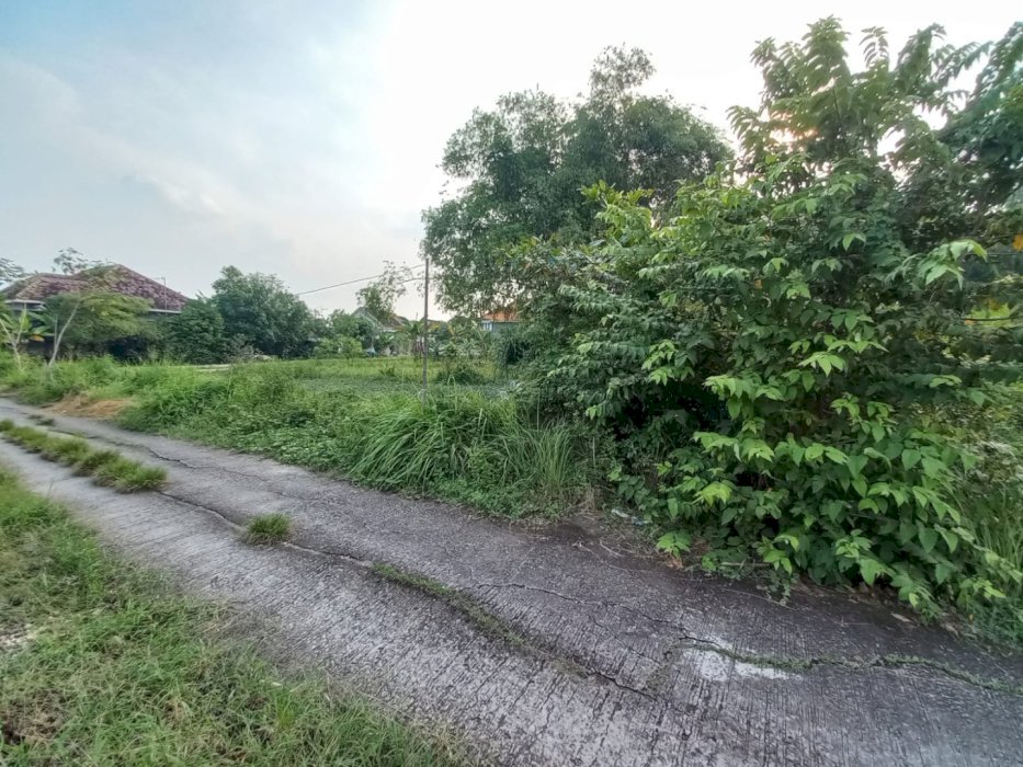 DIJUAL TANAH PEKARANGAN SIAP BANGUN DI KEBET, LAMONGAN, JAWA TIMUR!
