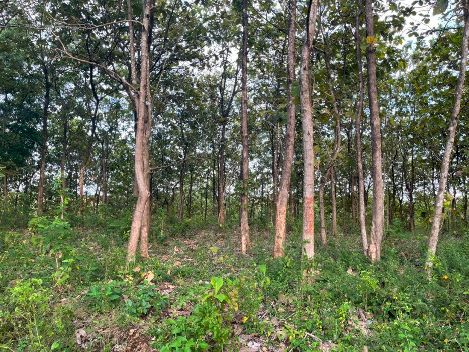 gallery cover