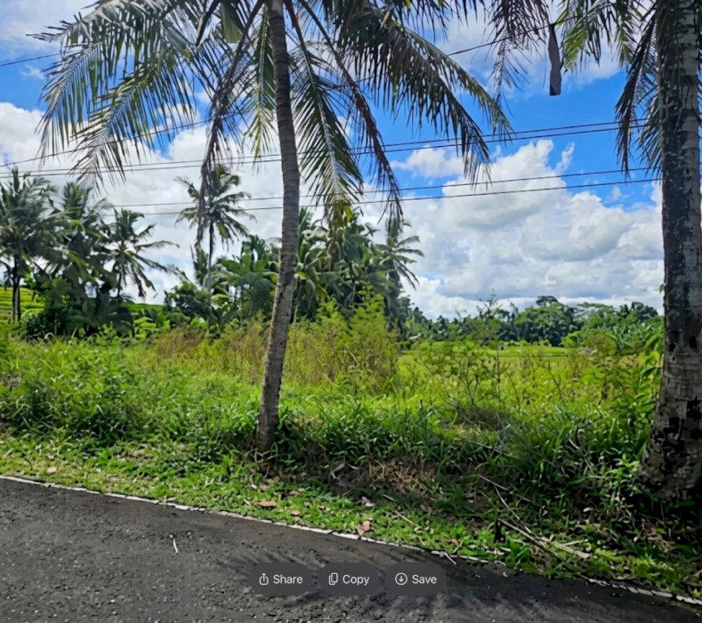 Tanah Di UBUD  Bersebelahan dengan Resort Mewah Legalitas Siap Bangun