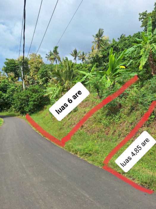 UNBLOCK OCEAN VIEW IN LOVINA HILL FOR SALE