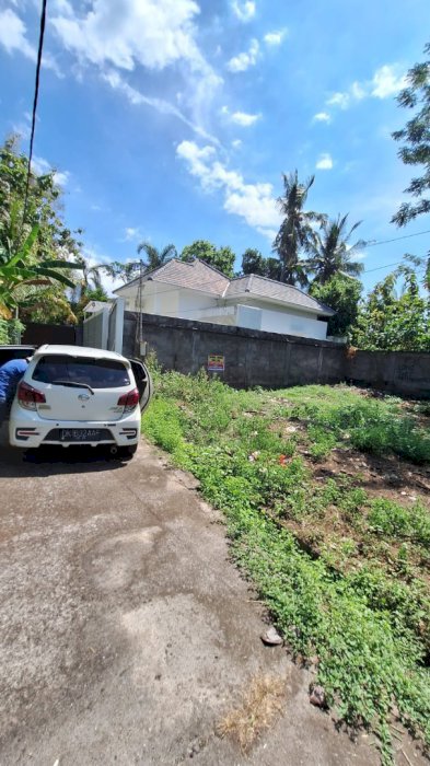 NICE PLOT OF LAND IN LOVINA NOT SO FAR FROM PEPITO