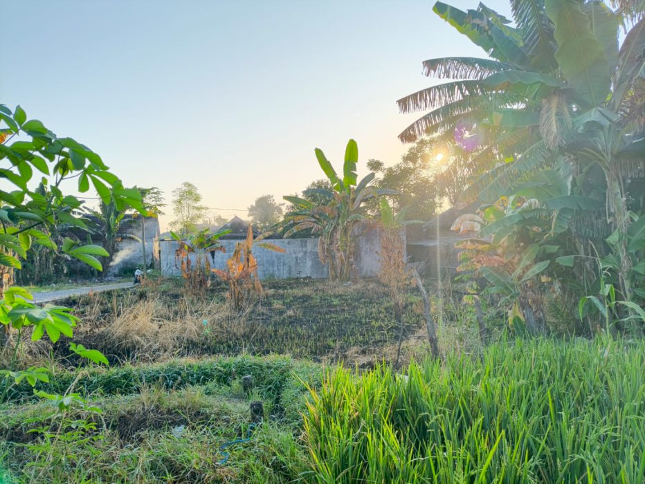 Di jual tanah pekarangan di Dusun Wedoro Pasuruan