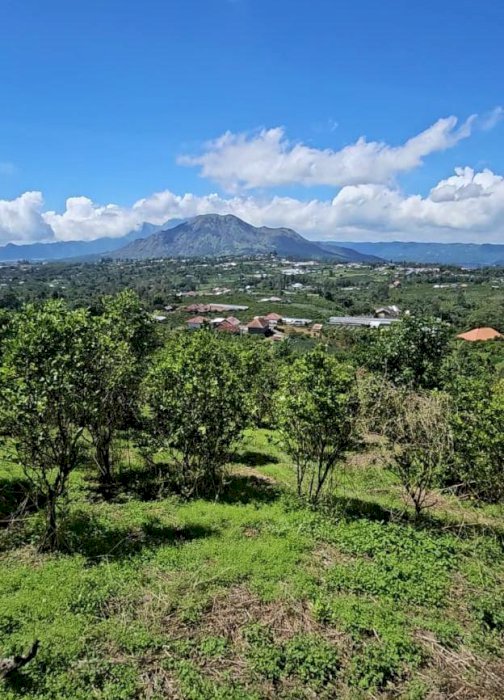 1000 MDPL,COCOK UNTUK VILLA, ATAU USIA PENSIUN!!!!