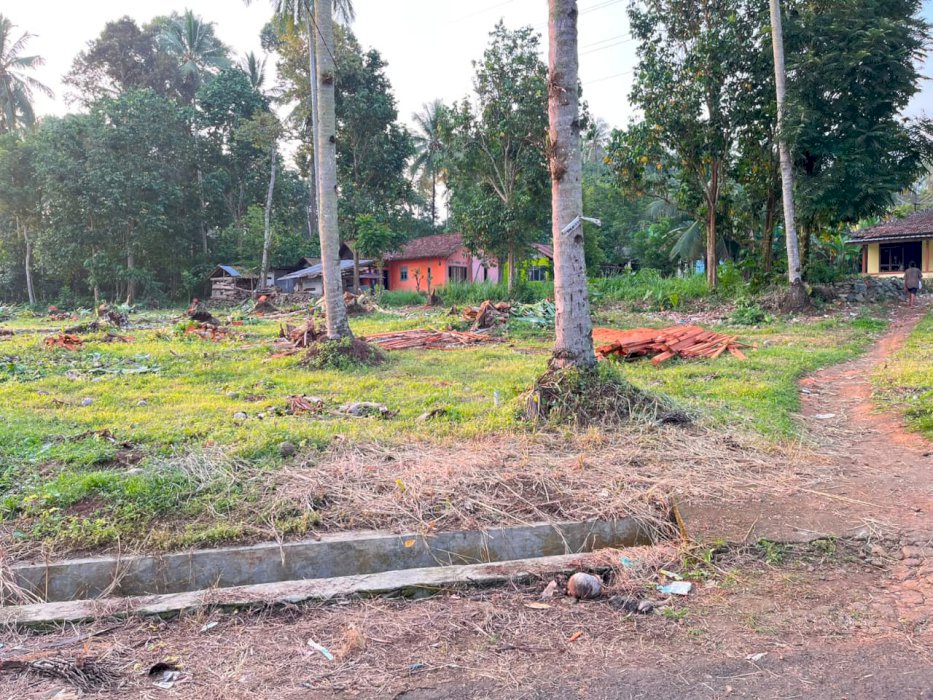 gallery cover