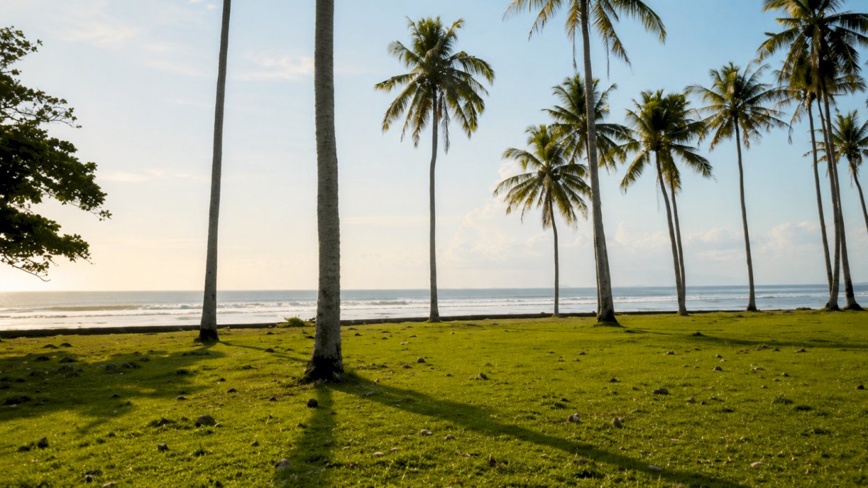 Tanah los pantai akses jalan utama