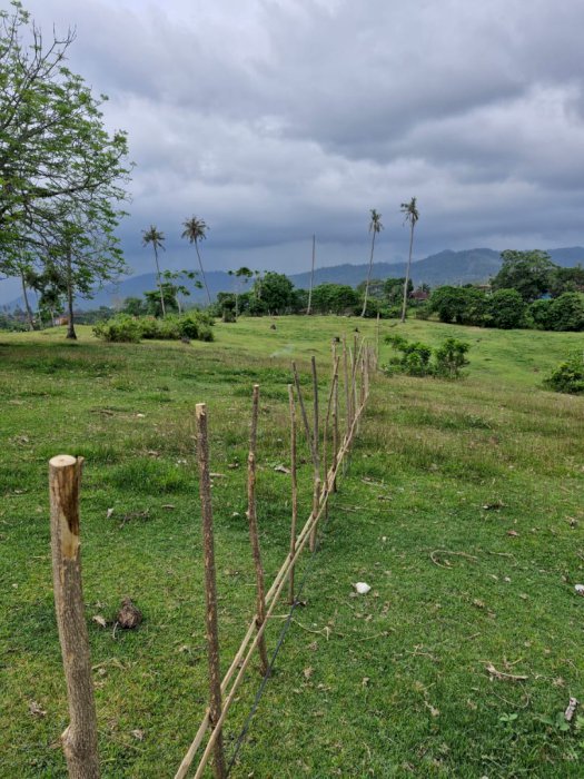 Tanah jual view gunung dan laut