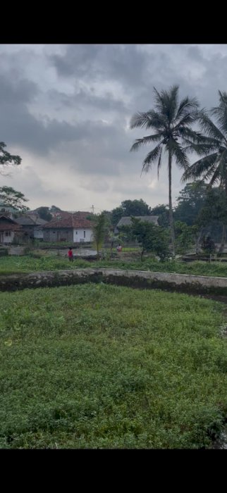 Di jual tanah premium lokasi strategis di Cijambe Subang