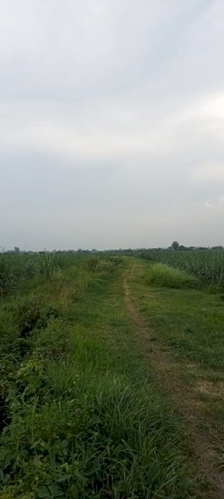 DIJUAL TANAH STRATEGIS DESA KEBARON TULANGAN SIDOARJO JAWA TIMUR