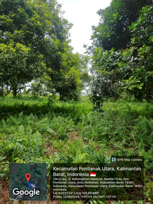 Di jual tanah premium lokasi strategis di Siantan Hulu Pontianak Utara