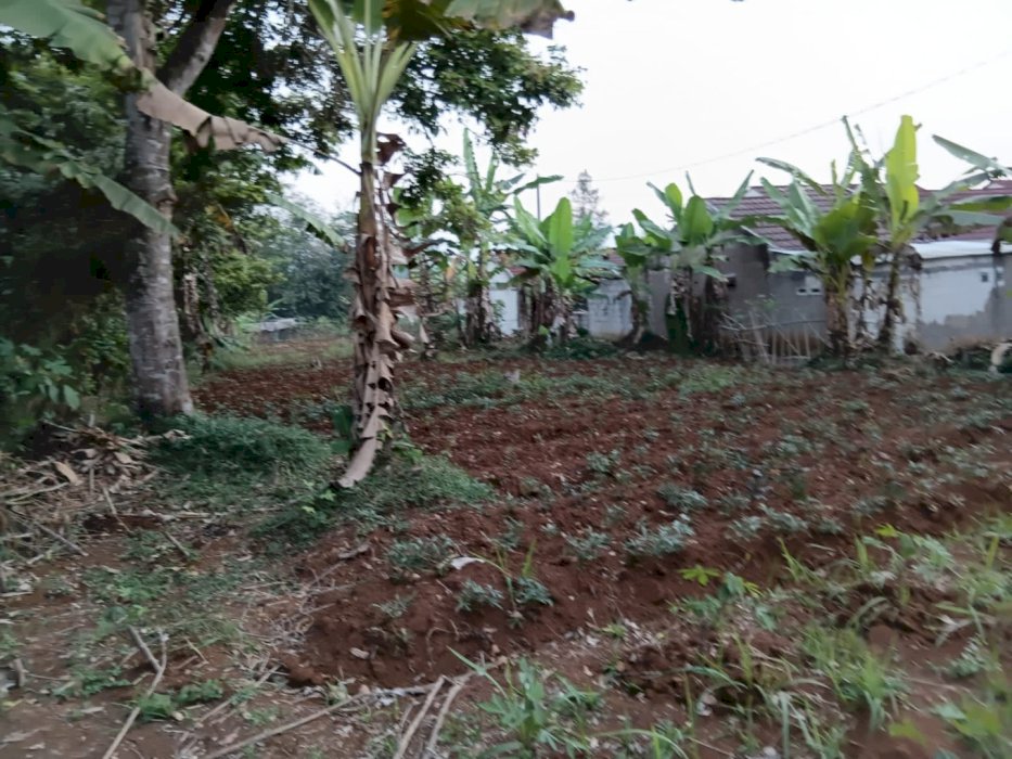 DIJUAL TANAH SHM DENGAN LOKASI STRATEGIS DI CIKEMBAR, SUKABUMI!