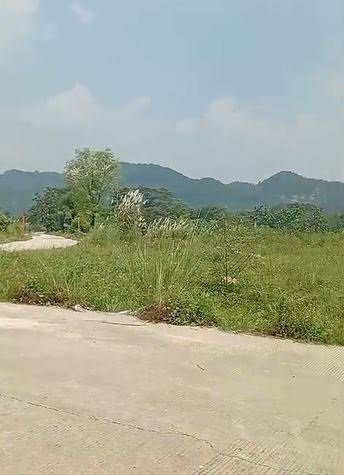 TANAH KELAPA NUNGGAL BOGOR