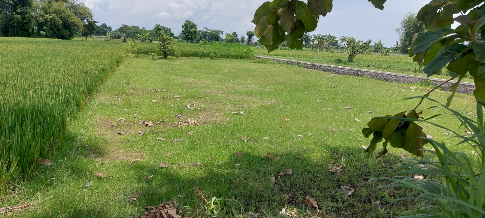 DIJUAL TANAH SIAP BANGUN DENGAN LOKASI STRATEGIS DI KEDIRI, JAWA TIMUR