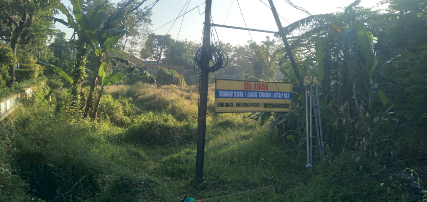 DIJUAL TANAH HOOK STRATEGIS DI JALUR PROVINSI PANDAAN-JAWA TIMUR