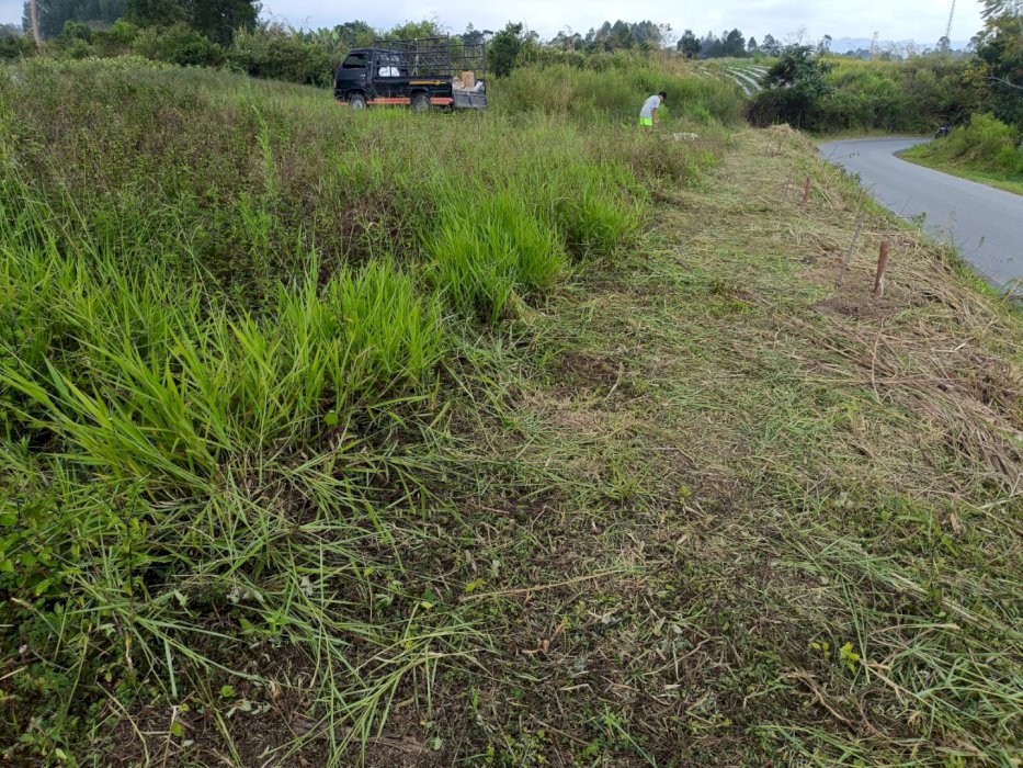 TANAH KAVLING 5x25 METER-PINGGIR JALAN BESAR SIPAHUTAR TAPANULI UTARA