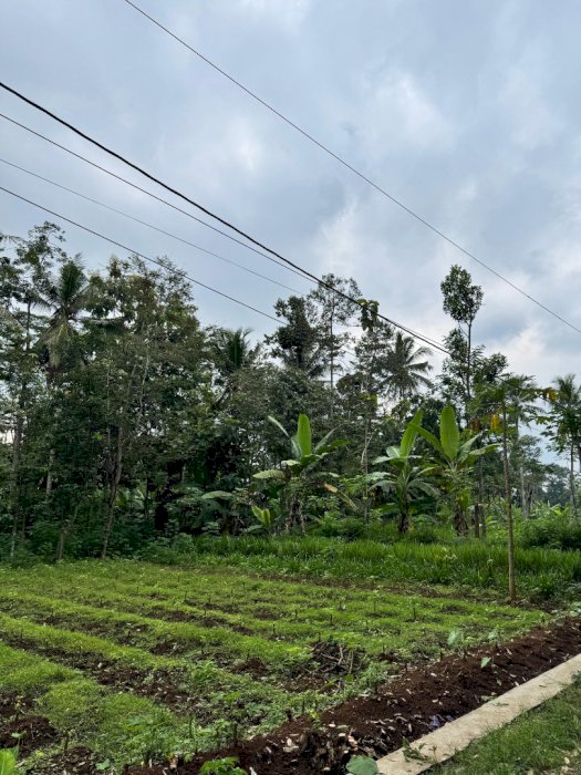 TANAH STRATEGIS-PINGGIR JALAN NGEMPLAK,KEC.KALIWUNGU,KAB SEMARANG