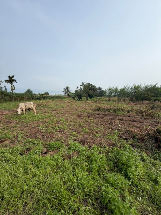 DIJUAL TANAH 360 M2 DI SEI MENCIRIM - LOKASI STRATEGIS BEBAS BANJIR