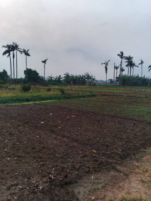 1,23 Ha Tanah Di Jl Alas Tua Raya Semanan Jakbar